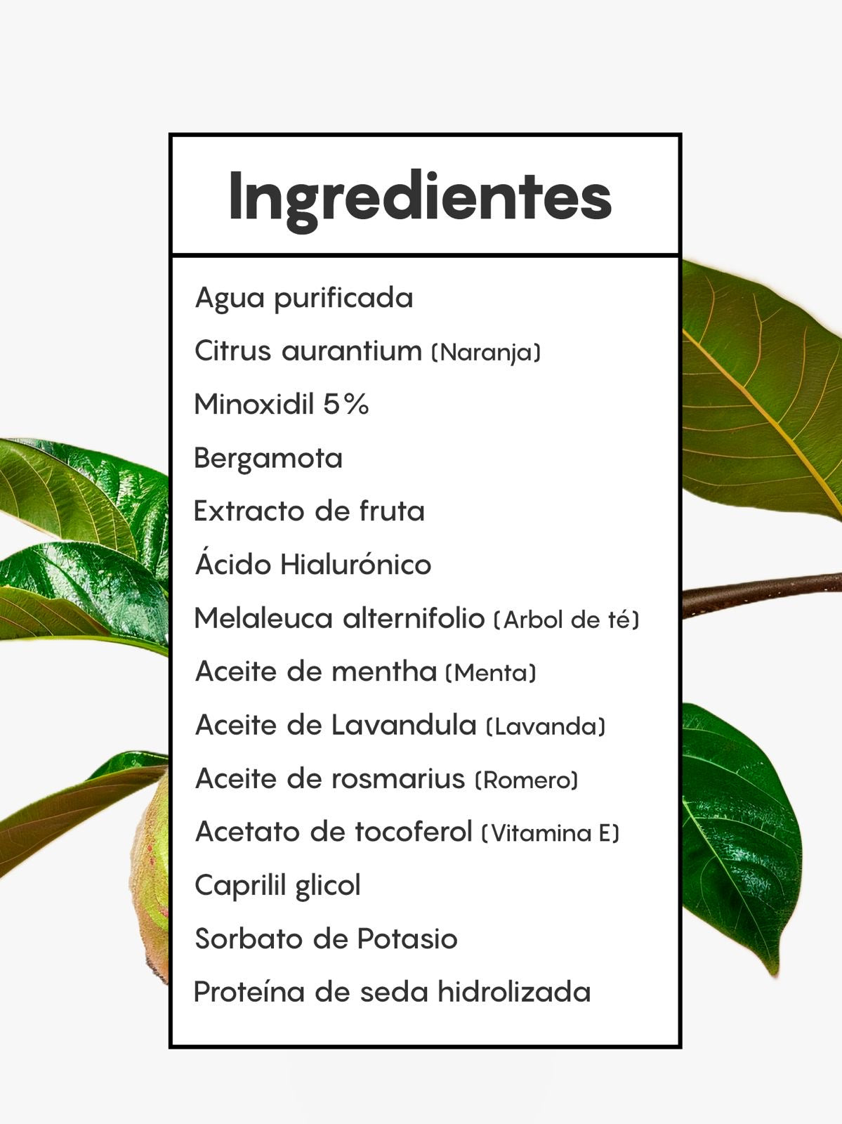 SHAMPOO CON MINOXIDIL 5% + BERGAMOTA